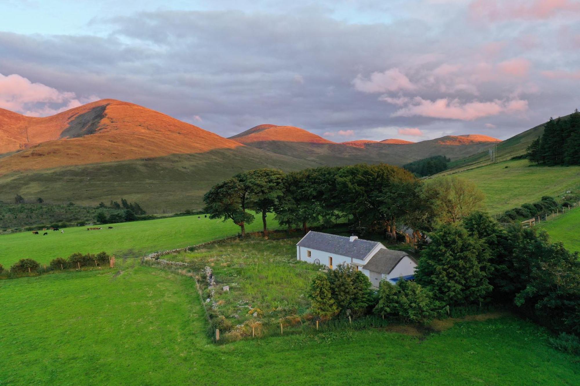 Thistle Thatch Cottage And Hot Tub - Mourne Mountains Ньюкасл Экстерьер фото
