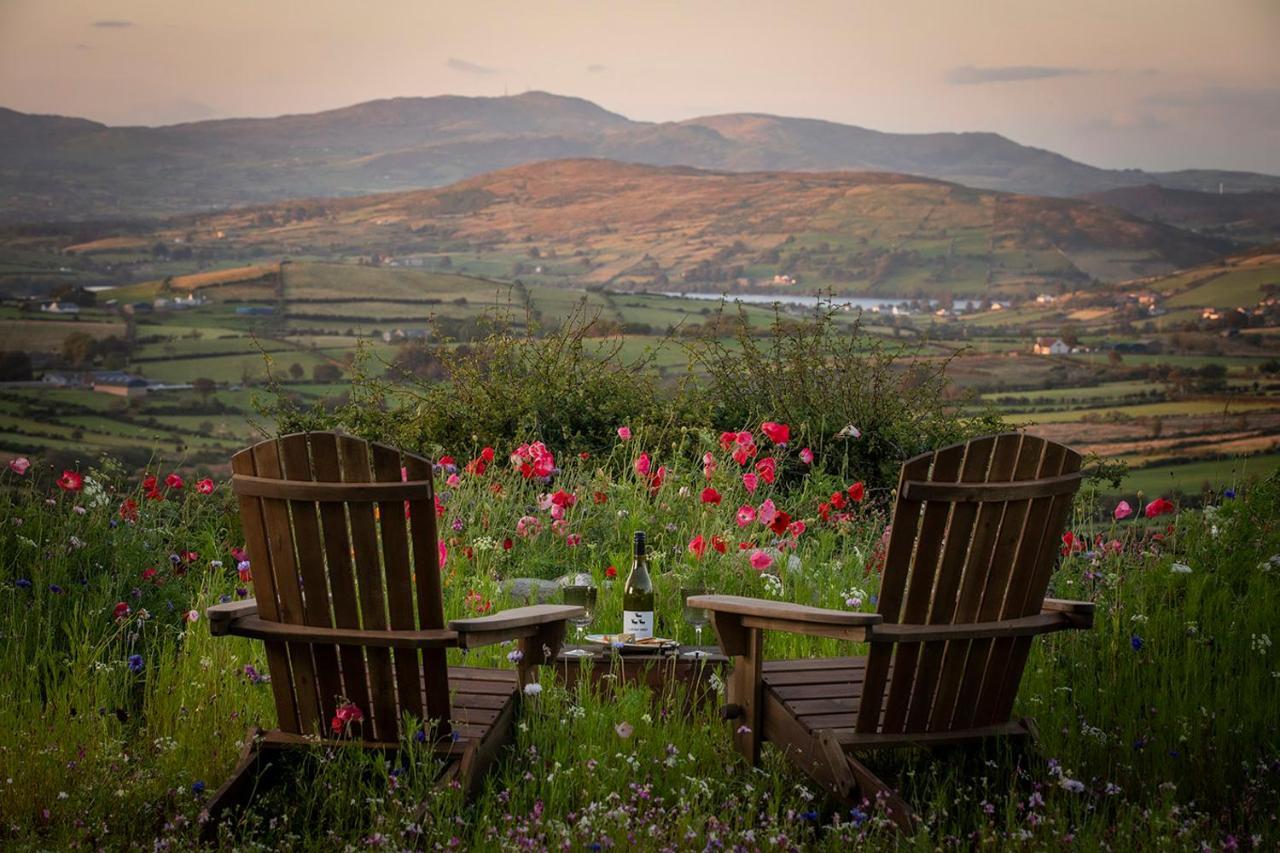 Thistle Thatch Cottage And Hot Tub - Mourne Mountains Ньюкасл Экстерьер фото